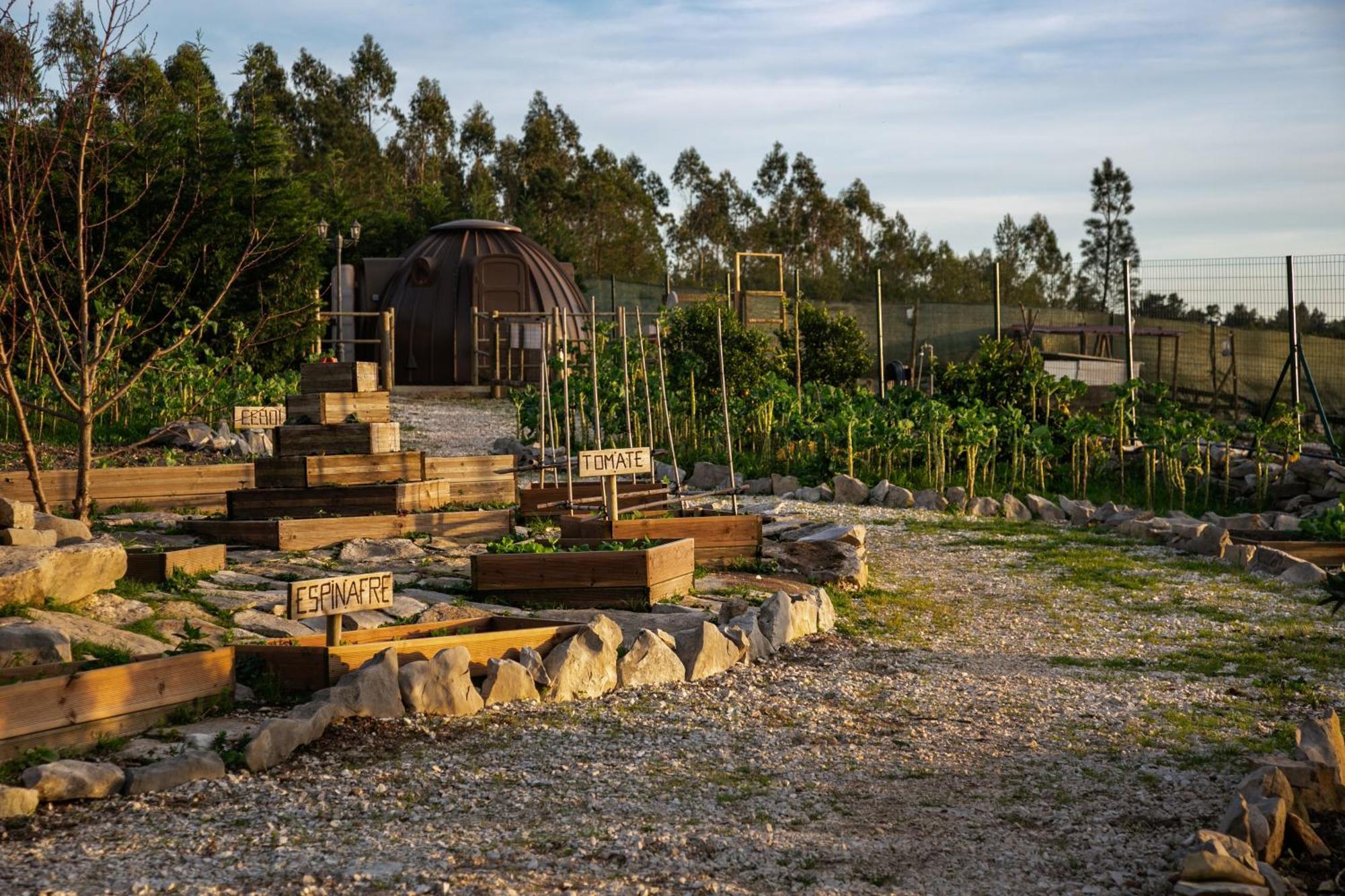 Casas Da Gralha Bed & Breakfast Turquel Eksteriør bilde
